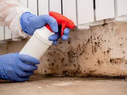 Best Commercial Mold Inspection  in Bonanza, GA